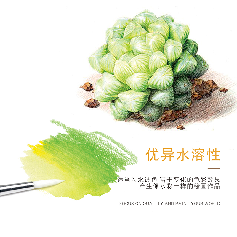 青竹彩铅水溶性彩色铅笔专业素描手绘笔绘画成人画画套装24色36色