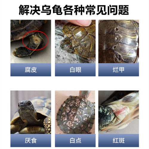 护龟液乌龟药腐甲腐皮烂甲红斑白眼病蒙眼宝肺炎厌食灵龟全校龟药