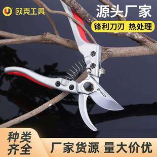 欧克果枝剪园艺果园花艺摘果剪园林树枝工具剪花艺剪工具