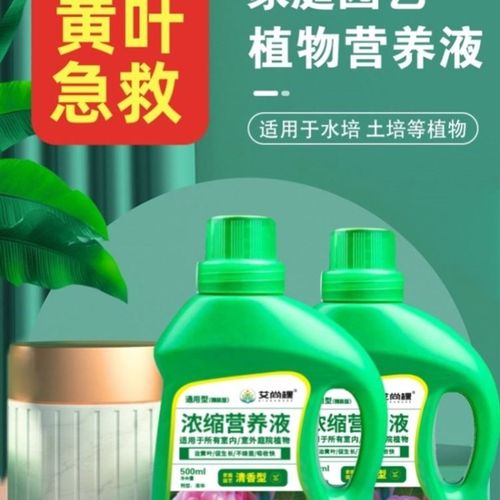 植物营养液通用型绿植僵苗黄叶急救土培水培盆栽花卉花肥液体肥料
