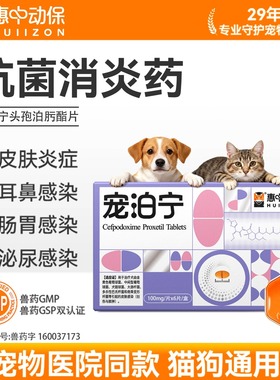 【惠中动保】宠泊宁消炎药宠物头孢泊肟酯片猫狗抗生素兽用猫犬用