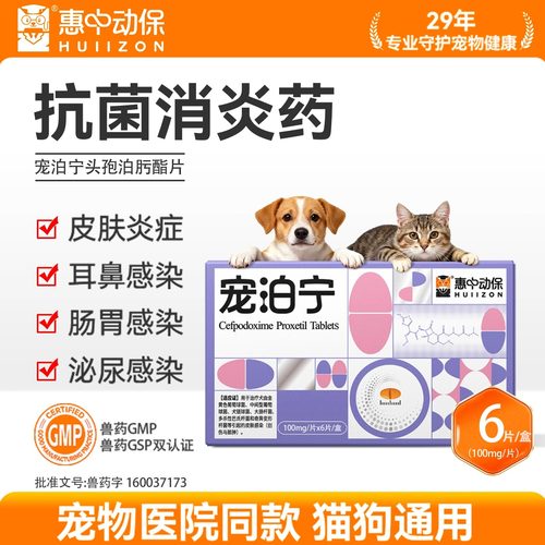 宠泊宁宠物消炎药头孢兽用猫犬用