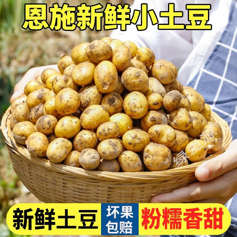 正宗湖北恩施小土豆当季现挖