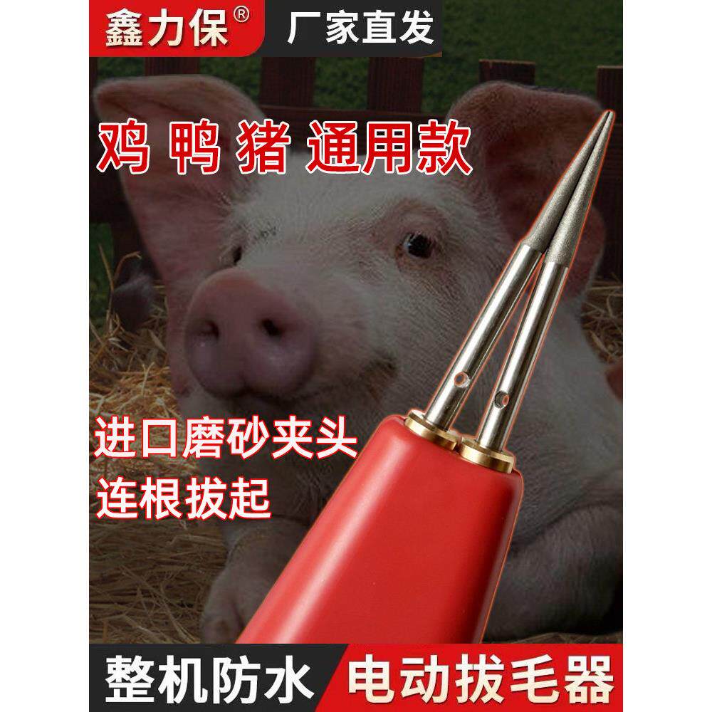 采购产品电动猪头刮刀，家禽和猪拔毛工具，鸡，鸭和鹅拔毛机，猪