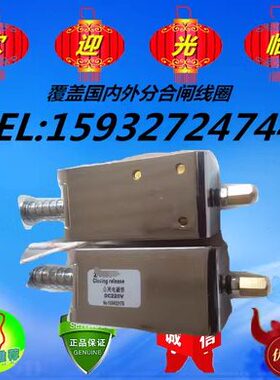 VH合闸220DCY  电磁铁Z Y