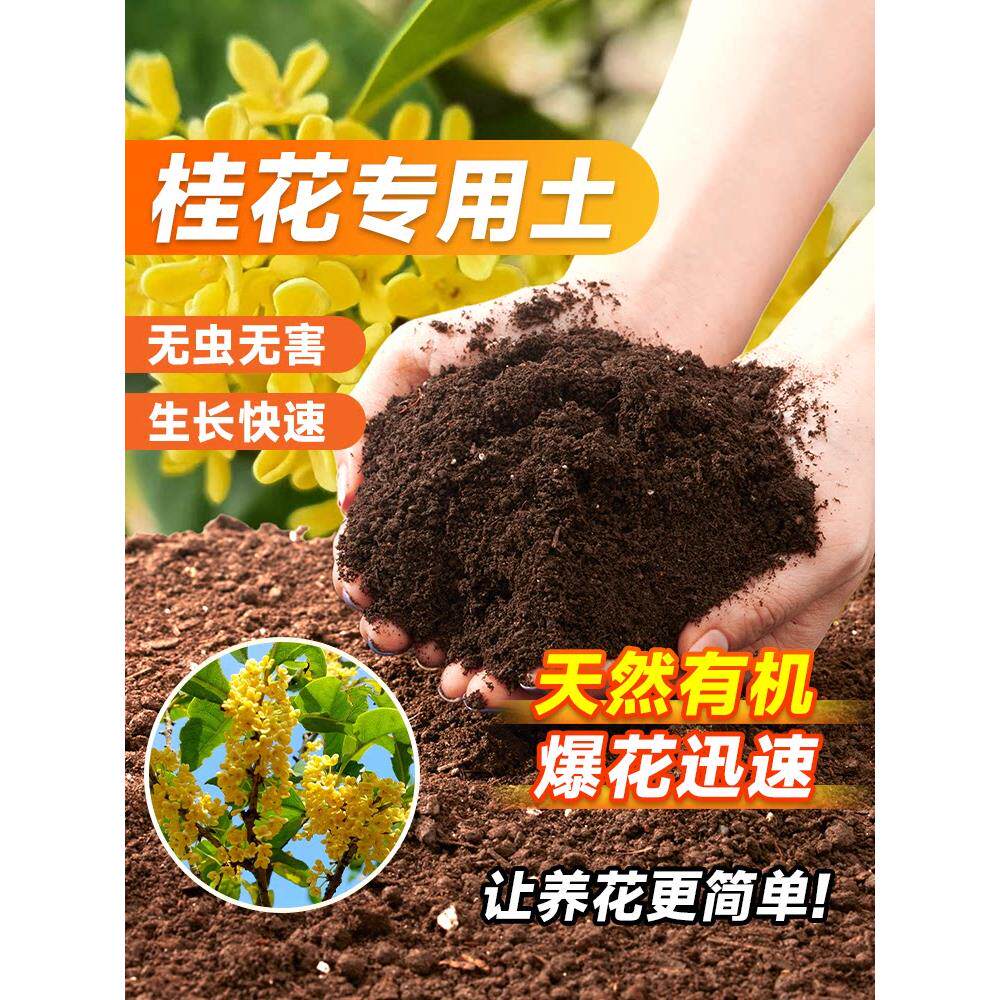 养桂花专用土营养土盆栽土桂花树专用土肥料专用肥土壤泥土种植土