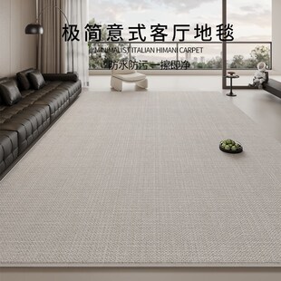 极简2025新款 地毯客厅意式 防水卧室免洗可擦轻奢高级沙发家用地垫