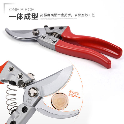 修剪树枝锯果树采摘修枝剪刀家用手工折叠锯子花枝粗枝剪园林工具