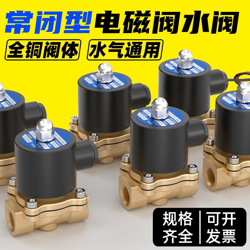 2W常闭进水24V电磁阀220V铜开关阀2分4分6分1寸放水控制阀12V水阀