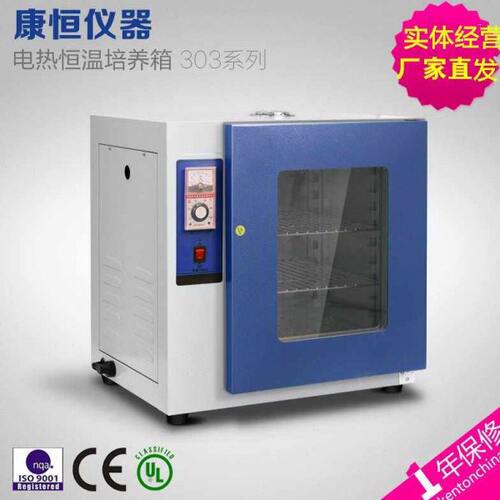 康恒电热恒温培养箱（303系列）细菌生物培养箱生化工业培养箱