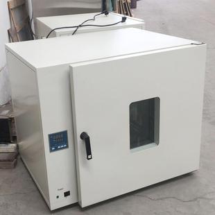电热恒温鼓风干燥箱程序控温精密热风烘箱 实贝300度可编程台式