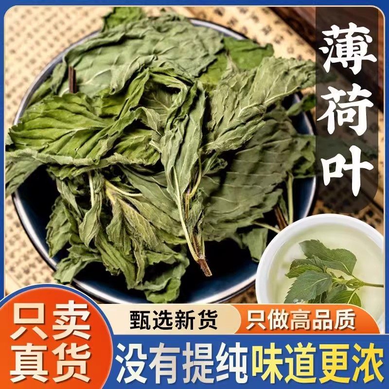 薄荷叶中药材500g正品官方旗舰店干货中草药无硫熏可食用野生精选,传统滋补营养品,其他药食同源食品,淘宝优惠券,粉丝福利购,淘宝优惠卷