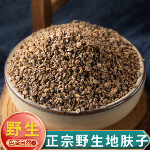 正品野生地肤子新货中药材500g正宗地肤籽地肤子粉地夫子地肤子茶