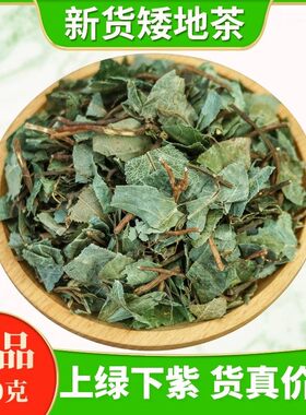 矮地茶中药材500g克正品野生新货平地木不出林紫金牛叶底珠叶下红