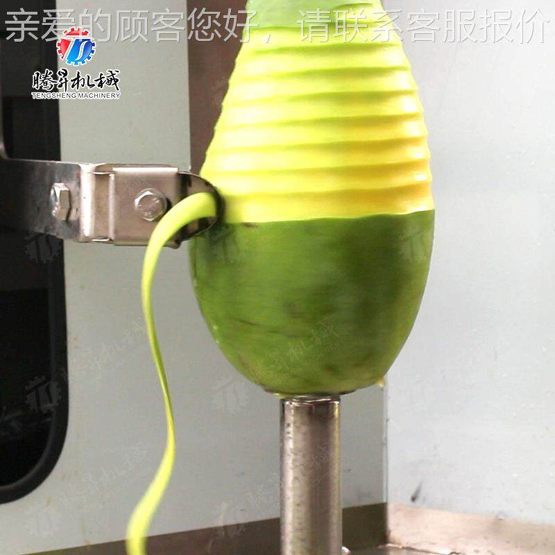 多功能瓜果削皮皮机菠萝蜜莲藕清洗削机业小瓜工蔬冬菜水果YMJ削,清洗/食品/商业设备,果蔬加工设备,淘宝优惠券,粉丝福利购,淘宝优惠卷