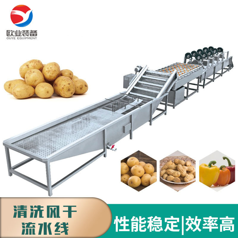 粽叶清洗风干生产线 多功能材毛刷清洗机 毛刷喷淋清洗机,清洗/食品/商业设备,选果机/分选机,淘宝优惠券,粉丝福利购,淘宝优惠卷