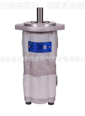 合F肥齿轮油泵CBNABP WL TL  - N E 3 04 06 10 14 20 25 CL AFP