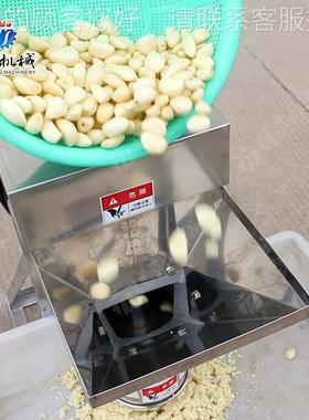 工厂供应全自蒜PZL机 动商用电动土豆打泥机调料姜泥蓉蒜蓉打碎