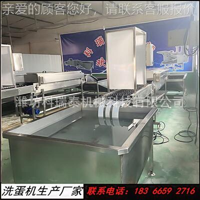 成套鸡蛋清洗水线生分产商家 清洗风干消BPU毒选机 动化洗流自蛋