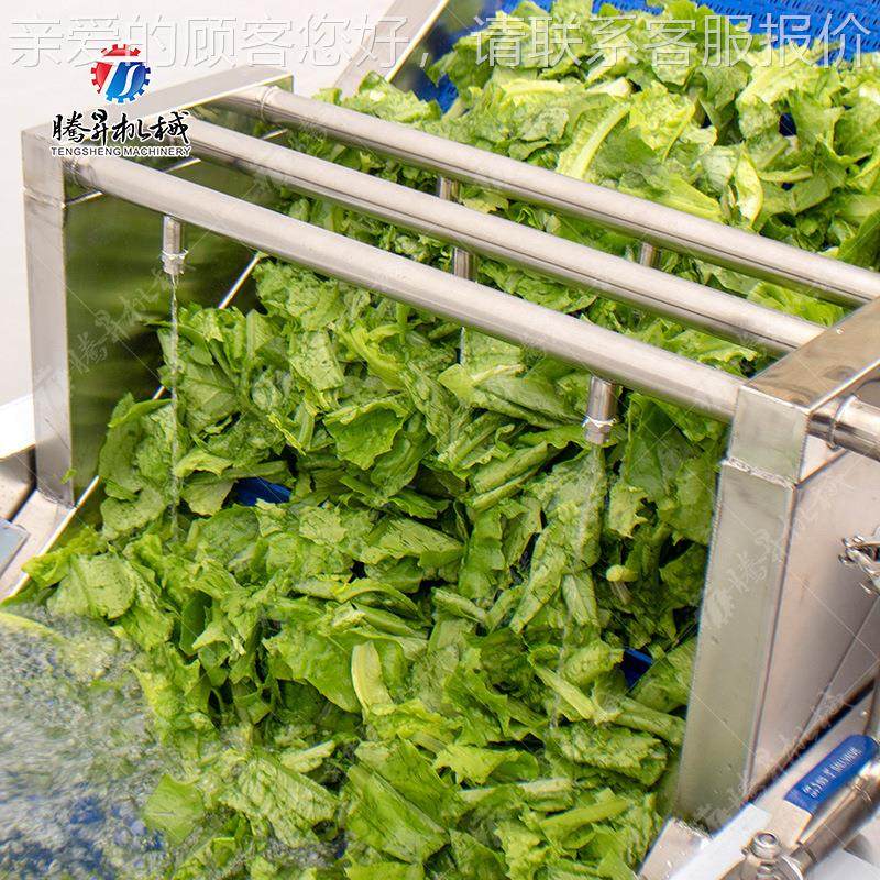 腾昇工厂产枸杞清机多功能叶RIU菜类清洗 机自 洗机器尺寸可定,清洗/食品/商业设备,果蔬加工设备,淘宝优惠券,粉丝福利购,淘宝优惠卷