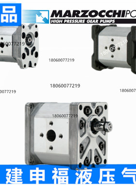 意大利马祖奇齿轮泵马达MARZOCCHI ALP2BK1-D- 6 9 10 12 22 25
