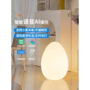 滚塑智能遥控蛋型落地灯智能语音客厅卧室语音控制可遥控发光蛋灯