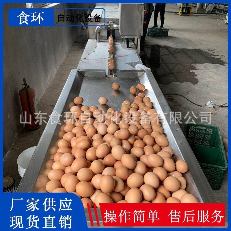 全自动E蛋清洗机鸡蛋清洗杀菌机清洗喷码喷油机鸡蛋清洗全套设备