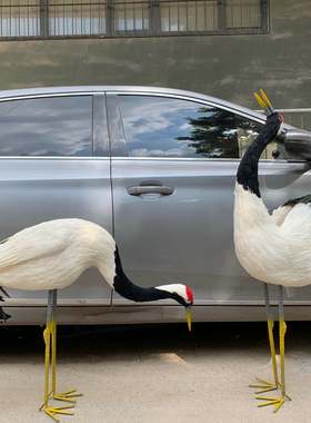 彷真丹顶鹤羽毛仙鹤白鹭园林景观装饰橱窗家居摆件场景摄影道具
