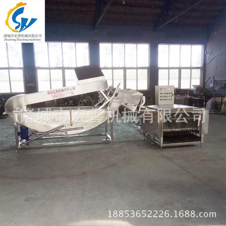 供应全自动浸烫脱毛一体机自动杀鸡脱毛机厂家供应鸡鸭脱毛机械