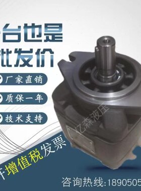 海特克注塑机伺服泵HG0-8/10/13/16/20/25/32/40/50/63-01R-VPC