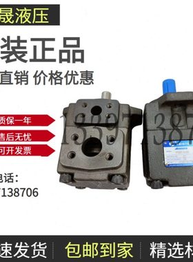 凯斯特KEISTER叶片泵 PV2R1-8 10 12 14 17 19 21 23 25 28 31-FR