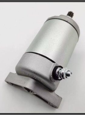 适用赛科龙RT3原装启动马达 宗申ZS250T-3 大林Q3 原厂启动电机