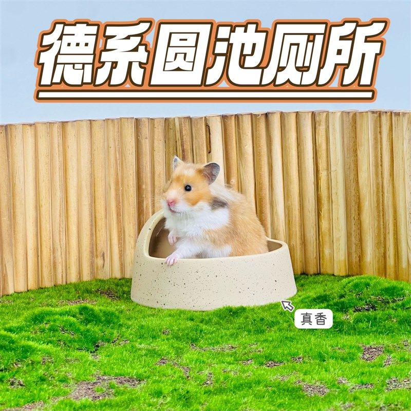 刺星球仓鼠金丝熊浴盆浴室德系圆池厕所辅食防水陶瓷大号食盆,宠物/宠物食品及用品,浴房/厕所,淘宝优惠券,粉丝福利购,淘宝优惠卷