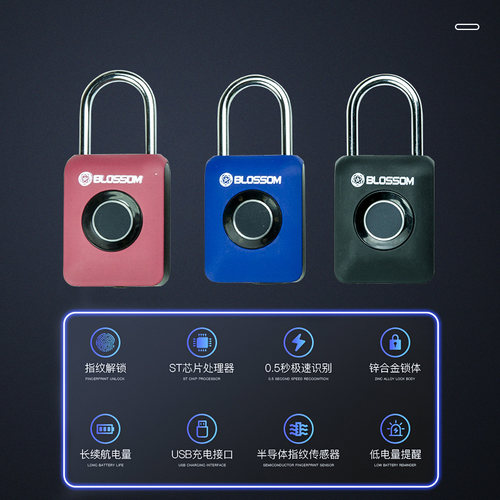 梅花锁新款智能电子指纹挂锁密码锁旅行箱包健身房柜子学生小锁头