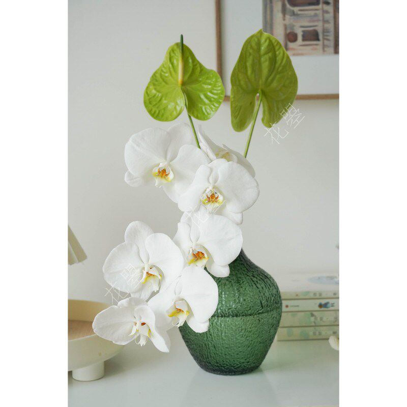花曌 绿掌米多蕊白色蝴蝶兰鲜切花鲜花水养真花家居餐桌面瓶插花
