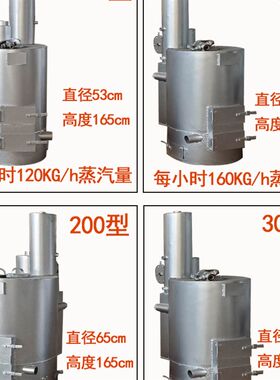 夹层蒸汽锅炉商用燃煤生物质节能无烟食用菌酿酒豆腐新型反烧锅炉
