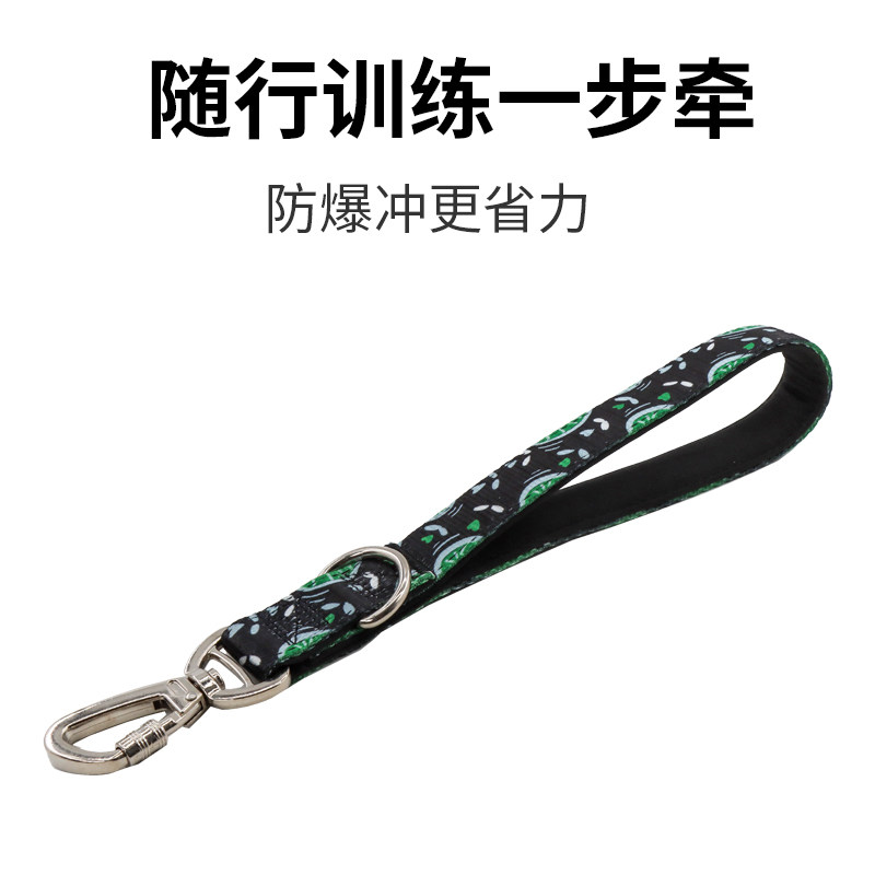 狗狗一步牵短款狗绳牵引绳柴犬边牧金毛拉布拉多中型大型犬遛狗绳
