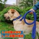 狗狗项圈牵引绳大狗绳金毛拉布拉多栓狗绳小中大型犬八股绳可调节