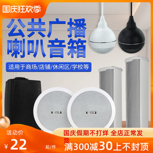 爱尚课吸顶喇叭壁挂音响同轴吊球音响防水音柱天花嵌入定压音响
