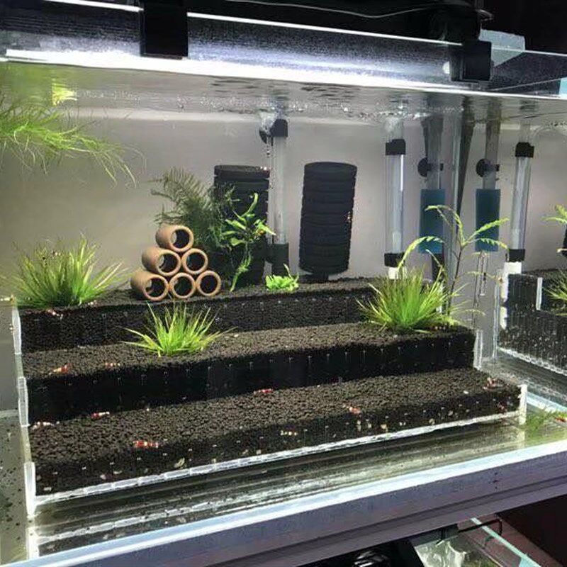 草缸梯田造景水晶虾鱼水草造景水草泥盒子观赏造景缸草缸虾缸造景
