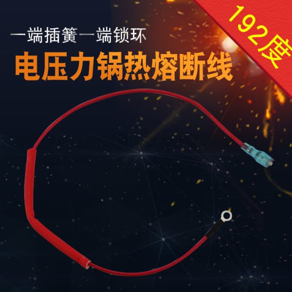 2SSB保险丝350Y配件线电压力锅F19通用-C01001276熔断/C热°CY