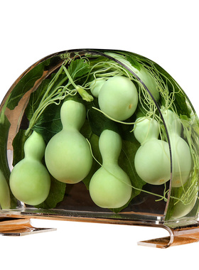 天然绿色小葫芦摆件保鲜水葫芦家居博古架摆件亚力克创意工艺礼品