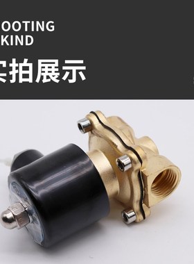 常闭电磁阀2W025-08 2W040-10 2W160-1水阀气阀2分3分4分6分1寸