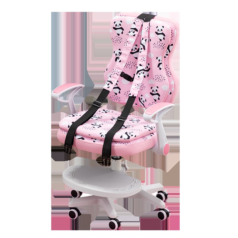 学生椅子可调节升降双层靠背学习椅家用矫正坐姿防驼背儿童写字椅