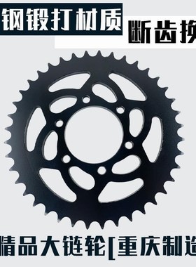 。适用隆鑫GP250 LX250GS-2劲隆JL250GS-2牙盘链盘油封链条三件套