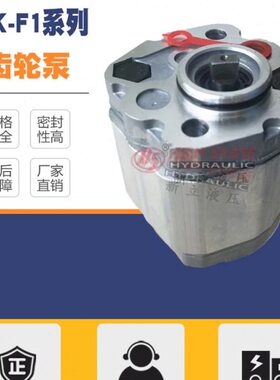 齿轮泵CBK-F179/F130/F116/F140/F148/F153/F158/F125/F110/F132