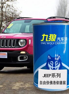 紫色金属漆佛车EE洛依德成品星辰狼九JP油漆漆自由侠整汽车灰色漆