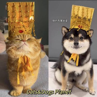 宠物猫咪皇帝帽搞怪创意狗狗宫廷头饰头套cos秦始皇头冠帽子拍照