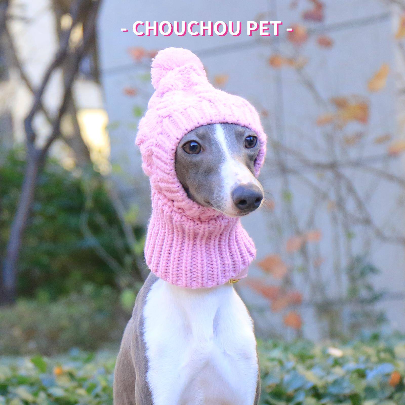 宠物温暖羊毛帽Whippet意大利小灵蒂羊毛帽照片可爱的狗帽子