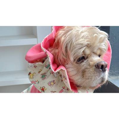 LOVEPASSES「鼠鼠套装」美卡可卡布宠物头饰耳套 帽子兜兜耳耳套